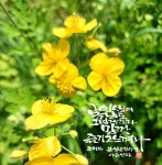 다솜캘리그라피에 있는 화숙 여님의 핀 - 2023 | 이야기, 인생
