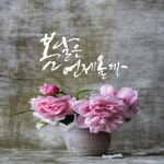 캘리그라피_봄 이제 겨울 시작인데 봄을 그리워하고 있습니다. 유난히 추위에 약해서 손이 꽁꽁꽁, 몸도 꽁... | 꽃, 모란, 꽃 사진