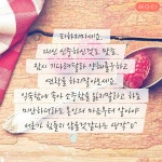 모씨&어라에 있는 갱 최님의 핀