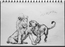 낭만주의 사자 커플 2 어흥 연필드로잉 Romanticism Lion Couple Pencil Drawing | 낭만주의, 연필 드로잉, 사자
