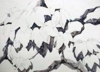 [기초풍경수채화] 담쟁이 - 수채화 과정 : 네이버 블로그 | 수채화, 미술 참고 자료, 꽃