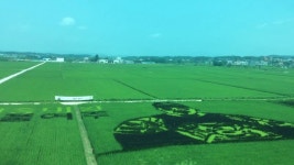 경강선 부발역~세종대왕릉역 주행영상 | 꽃밭