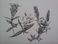 2012. 8.6 그림 | 그림