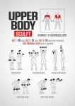 Workout of the Day: Upper Body Sculpt Instructions: Repeat each move with no ... | 근육 만들기, 보디빌딩, 운동 루틴