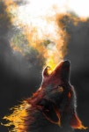 Wolf에 있는 늑대 잿빛님의 핀 | 늑대 하울링, 야생 동물