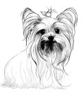 The 25+ best Puppy drawings ideas on Pinterest | Puppy ... | 동물