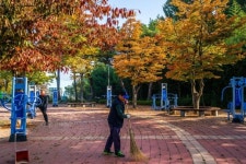 도시테마공원 「아중체련공원」에 가을색(秋色, autumn colors)이 곱게 물들었습니다.2015년 10월 18일(日)... | 일상