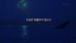 [노래] 진실은 침몰하지 않는다 | 노래, 드라마