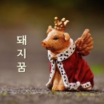 ♣ 돼지꿈 ♣ 올핸 나도 돼지꿈을 딱 한 번 꿔봤으면   아파트 값이 내려가더라도 복권에 당첨되는 행운을 누리지 않더라도 내 꿈속에서... 