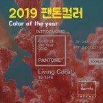 2019 팬톤 컬러, 리빙 코랄 (Living Coral) : 네이버 블로그 | 올해의 색, 색
