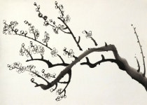 사군자의 뜻 | 한국화, 그림
