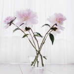 동탄플로리아&화성조경 | Pin von 정원 auf Flora | Wohnung