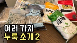 막걸리 만들기! - 여러 가지 국산 누룩 소개 2 - 2022 | 식품 아이디어, 가지, 발효