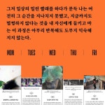 BGA 백그라운드아트웍스 @bgaworks - 2023