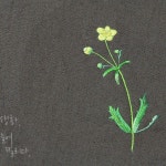 미나리아재비 #embroidery, #bajilda, #flower, #artist, #야생화자... 꽃자수, #바찔다, #needlepoint, ... | 자수, 꽃 자수, 꽃 그리기