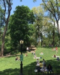➖ 슬슬 걸어서 센트럴파크 🌿🍀🌳🌲💚 보기만해도 편안해지는 초록이들   뉴욕 센트럴파크 맨하탄 뉴욕여행... 