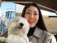 #이쁜카페에서맛있는커피... | Dogs