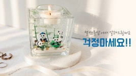 [젤캔들샵] 젤캔들을 실패하는 가장 큰 이유 3가지 - 2022 | 양초, 캔들 홀더, 공예