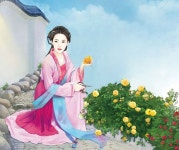 ปักพินโดย 아라 조 ใน 조아 | จีน