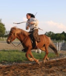 포즈에 있는 핀