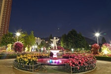 창원 장미공원의 야경