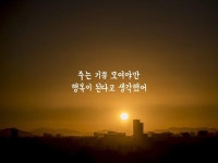 주는 기쁨 모여야만 행복이 된다고 생각했어 | 명언