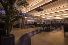 Big Shot Coffee – THE FIRST PENGUIN | 인테리어, 은하