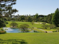 관심에 있는 Chang Hyun Cho님의 핀