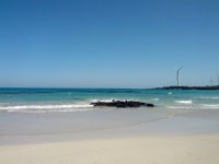 제주 월정리 해변 | 해변