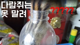 먹을 거 앞에서 다람쥐는 못말려 | Water bottle, Bottle, Plastic water bottle