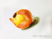 #개체표현 #기초디자인개체묘사 #묘사 #건대기초디자인 #건대기디 #국민대기초조형 #기초디자인 #공스타그램 #성신여대기초디자인 #일상... 