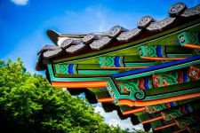 북서울 꿈의 숲 | 숲