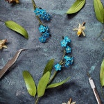 Pin by 은월 on 만들기 | Paper quilling, Quilling, How to preserve flowers