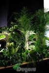 artificial landscape 실내조경 , 인조실내조경 , artificial  indoor landscape , planterior - 2020