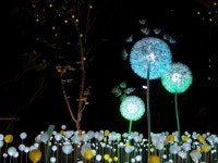 별빛정원 우주 - OOOZOOO | 우주, 자연, 일본