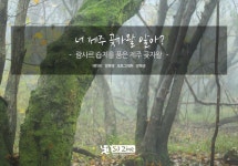 너 제주 곶자왈 알아? | Zine, Art