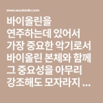 바이올린을 연주하는데 있어서 가장 중요한 악기로서 바이올린 본체와 함께 그 중요성을 아무리... 활의 털에서 바이올린의 현으로, 바이올린의... 