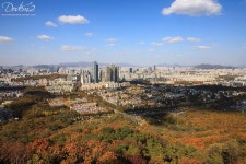 서울의 가을정취 느끼기 좋은 곳,구룡산 [서울 단풍절정기 가볼만 한 곳/구룡산 등산로 가는길] | Nature, Grand canyon, Travel