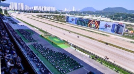 한국마사회 2020년 서울, 부산경남 경마장 대상·특별경주 시행계획 - 2020 | 2세, 대통령, 2월
