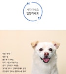 동물자유연대 : 마음 열면 180도 변하는 데이지 - 2020 | 데이지, 과학