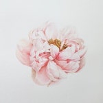 #감성수채화 #수채화 #수채화일러스트 #일러스트 #수채화캘리그라피 #수원수채화 #수원맘 #성인취미수채화 #색연필일러스트 #취미... 