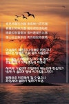 삶과 세월의시간에 있는 지희 성님의 핀 - 2023 | 건강