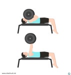 벤치프레스 일러스트 ai 무료다운로드 free Bench press vector, #어반브러시, #무료일러스트, #일러스트레이션, #디자이너타미, #이미지소스... 