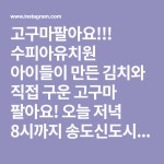 수피아유치원 아이들이 만든 김치와 직접 구운 고구마 팔아요! 오늘 저녁 8시까지 송도신도시 더수다까페에서 판매합니다... 