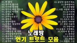 노래방 인기 트로트 모음 - 신나는 노래 모음 기분 전환이 필요할때