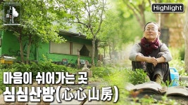 감나무밭 작은 컨테이너의 이름은 심심산방! 이보다 더 심심할 수 없는 선희씨의 숲속 라이프~ | 자연의 철학자들 19부 내 마음에... 