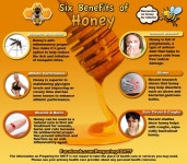 Benefits of Honey http://www.MegaFitness.com | 벌