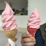 [New] The 10 Best Recipes (with Pictures) -  #플랑크톤#오늘은#일요일#날씨 흐리다가 맑아졌네용 더울땐 플랑크톤에 오셔서 쥔장의 손맛... 