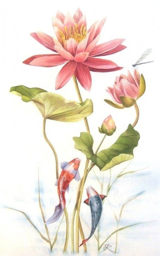 라후 이미지