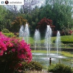 #fountain #spring #springtime #naturetrip #대구대 #nature #hiking #l… | Instagram, Instagram photo, Photo